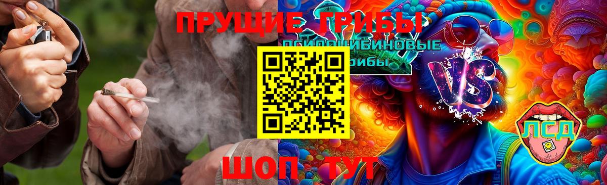 Комсомольск-на-Амуре  Галлюциногенные грибы GOLDEN TEACHER  Вход с VPN 